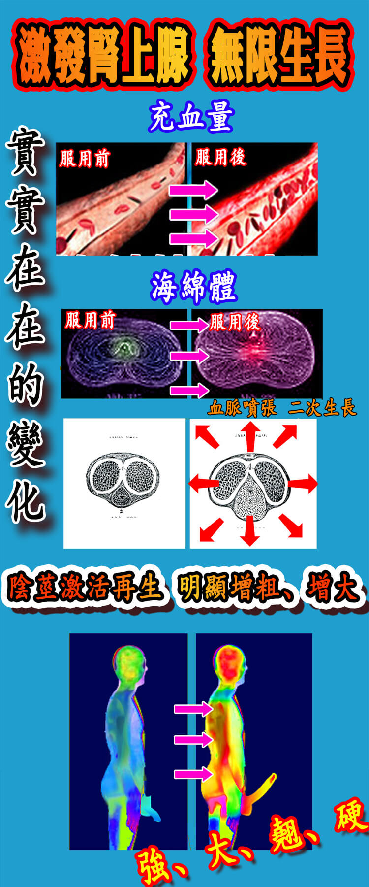 未标题1-1.jpg